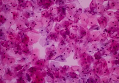 shutterstock_1203318517